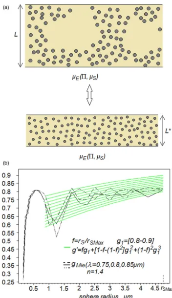 Fig. A.1. Model of spheres in a slab. (a) Scheme of a equivalence between heterogeneous and homogeneous arrangements with geometric porosity factor and scattering coefficient kept fixed