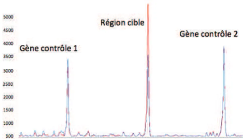 Figure 3b : Détail de l’étape 4 : alignement des gènes contrôles et superposition des  pics du TN en bleu, et du TT en rouge