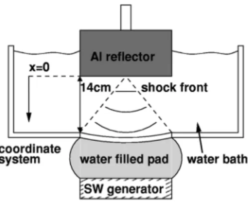 FIG. 4. Experimental setup. Reproduced with permission from “Cavitation inception following shock wave passage,” Phys