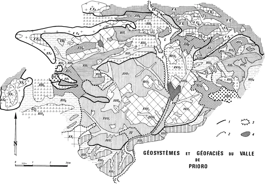 Fig.  4.  —  Esquisse  cartographique  des  géosystèmes  et  des  géofaciès  du  Valle  de  Prioro