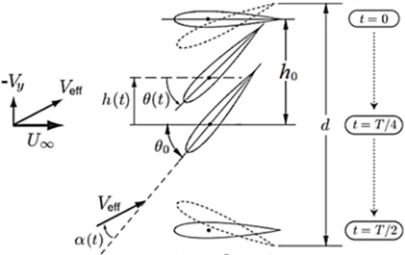 Fig. 2. Main kinematic parameters of a flapping  foil (Kinsey and Dumas 2014). 