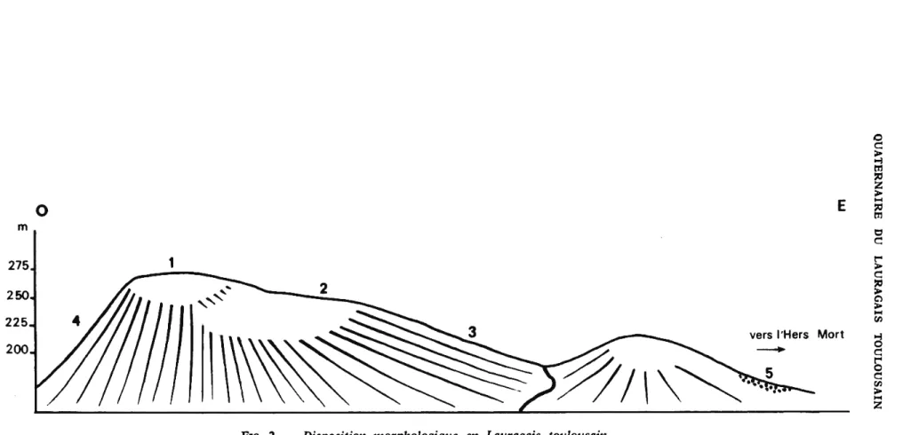 Fig.  2.  —  Disposition  morphologique  en  Lauragais  toulousain. 1. Replat supérieur