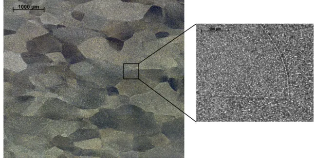 Fig. 1 Microstructure of the Ti555-3 alloy