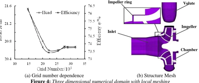 Figure 4: Three dimensional numerical domain with local meshing 