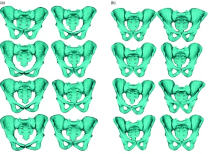 Table 3. Average point-to-surface distances over the 120 personalised FE meshes. A surface was generated from the mesh of all the patient pelvis