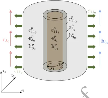 Figure 5: Boundary value plane strain / axial electric and magnetic field conditions. Case of uniaxial strain in the x 1 direction.