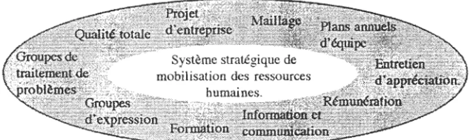 Figure  C.  Le  système  stratégique  de  mobilisation  des  ressources  humaines. 