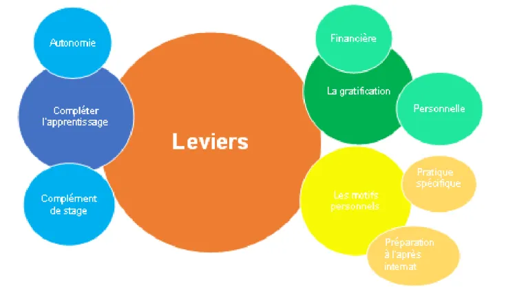 Figure 4. Schématisation et classification des principaux leviers 