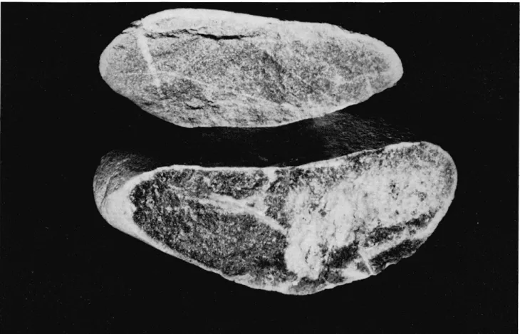 Fig.  16 - Esquisse schématique  des faciès de redistribution du fer  dans les  nappes graveleuses argilisées  et  colmatées