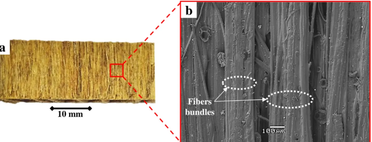 Fig. 8: a) Flaxpreg™ workpiece. b) SEM image of Flaxpreg™ composite skin showing the flax fibers  bundles size