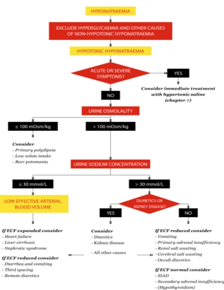 Figure 2. Algorithme proposé par les recommandations européennes de 2014 pour le diagnostic étiologique  d’une hyponatrémie (28) 