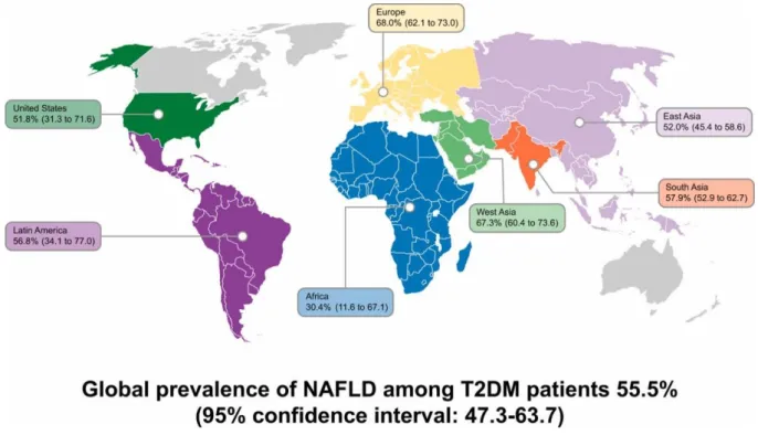 Figure n°1 : Prévalence de la NAFLD dans le monde chez les patients diabétiques de type 2  (15)