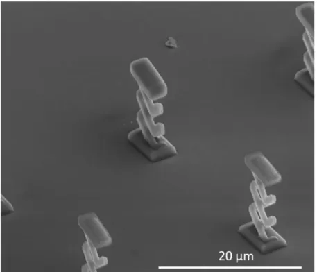 Fig. 14: Micro-pantograph image obtained by scanning electron microscopy.