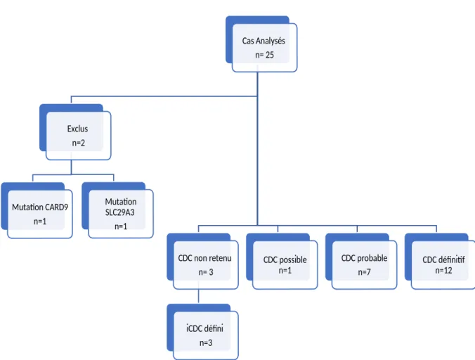 Figure 1 : Diagramme de flux cohorte pédiatrique et juvénile 8 Cas Analysés n= 25Exclus n=2Mutaon CARD9 n=1Mutaon SLC29A3 n=1CDC non retenu n= 3iCDC dé!ni n=3 CDC possible n=1 CDC probablen=7 CDC dé!nif n=12