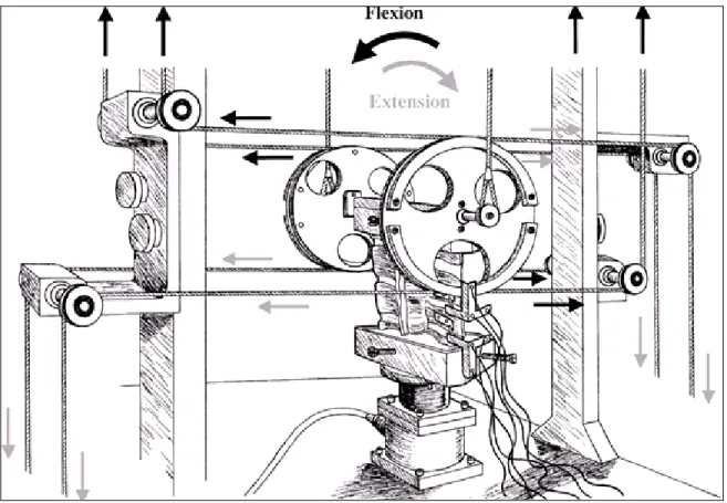 Figure 1.17  Close-up of the apparatus set for flexion and extension (Lysack et al.,  2000)