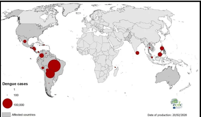Figure  3  :  Distribution  géographique  des  cas  de  dengue  reportés  mondialement,  Janvier  à  Février 2020