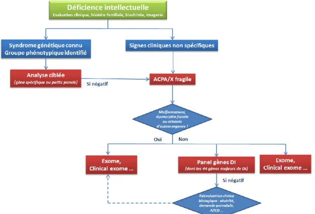 Figure 3: arbre décisionnel proposé par l’ANPGM pour le diagnostic étiologique de la DI  [92] 