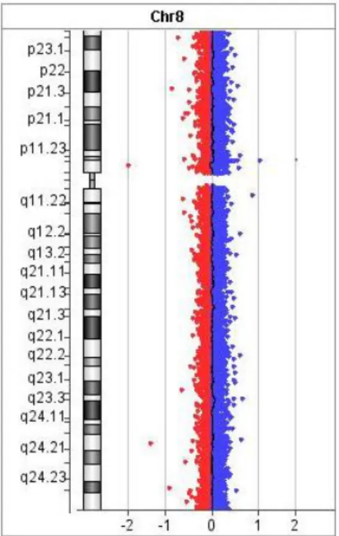 Figure 6: représentation par ratio de fluorescence d'un chromosome 8 en ACPA 