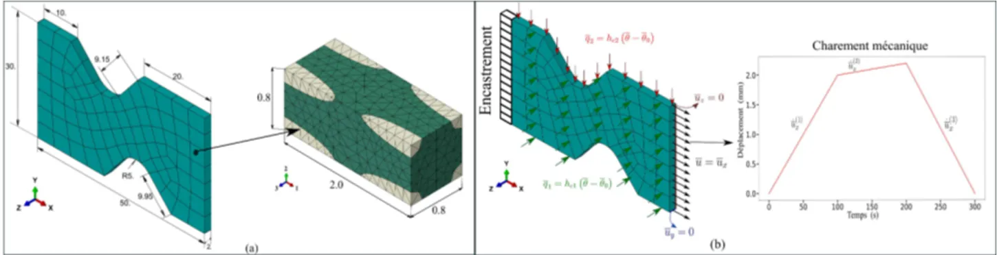 Fig. 4. (a) Dimensions et discrétisation spatiale de la macro-structure ainsi que la cellule unitaire utilisée