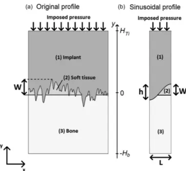FIG. 1. Schematic illustrations of the 2-D model used in numerical simula- simula-tions for (a) an original roughness profile and (b) a sinusoidal roughness profile.