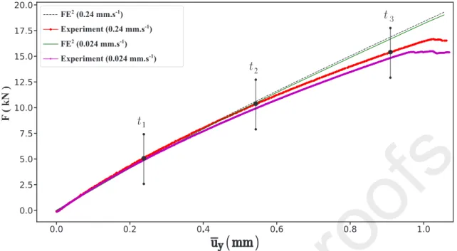 Figure 12: Macroscopic responses of the studied composite for the ± 90 staking sequence under both loading rates 0.024 and 0.24 mm.s − 1 