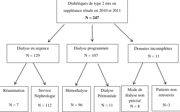 Figure 1 : Effectifs de la population étudiée avec leur modalité de 1 ère  dialyse 