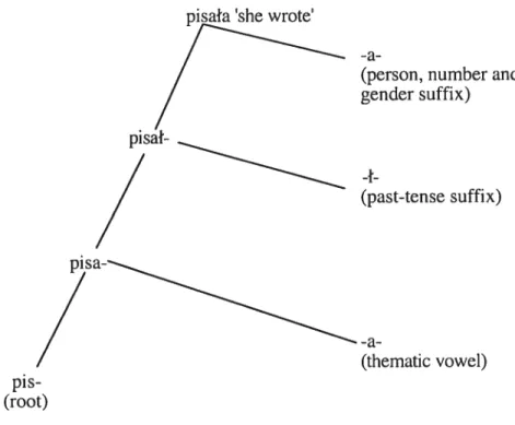 Fig. 7.1 - The Morphotogicat Structure of the Verb Pisa6 (‘to write’) in tite 3rd Pci-son Feininine Siitgtilar Past-Tense Forni