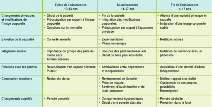 Figure 2: Etapes du développement de l'adolescence (5). 