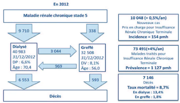 Figure 1 : représentant les patients recevant un traitement de suppléance par dialyse ou greffe rénale 