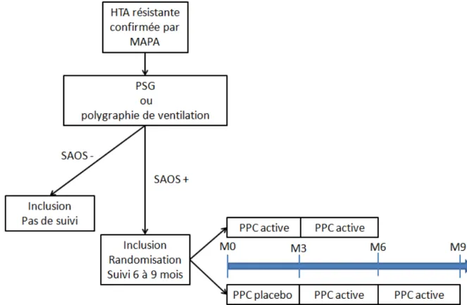 Figure 1  : S hé a de l’étude PSG : polysomnographie  HTA : hypertension artérielle 
