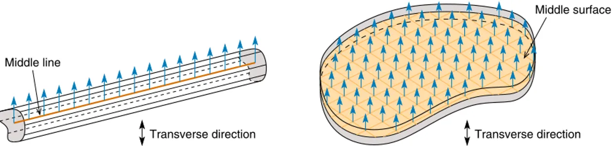 Fig. 6 Examples of prescribed displacement field of the M-STEP, in the transverse direction and in the middle surface/line of a plate/beam