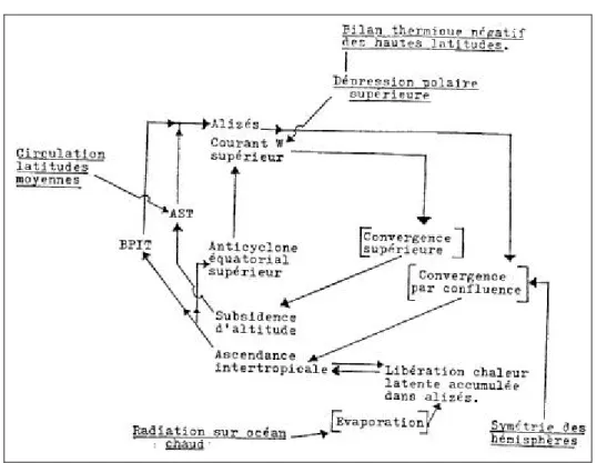 Figure 2 : Le système de circulation de la cellule de Hadley
