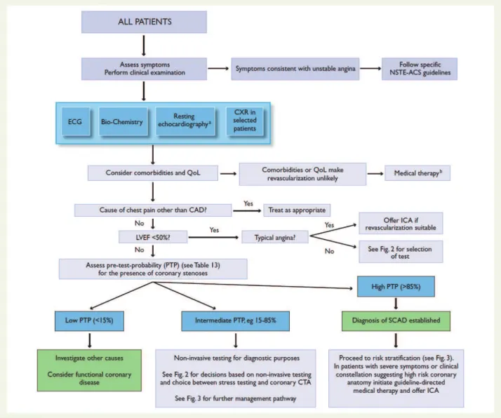 Figure  8 :  Algorithme  décisionnel  devant  une  douleur  thoracique  suivant  les  recommandations  de  l’ESC en 2013.