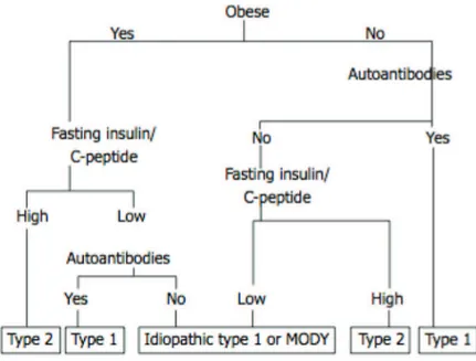 Fig.  5 :Algorithme  de  classification  des  diabètes  de  l’enfant,  d’après  Reinehr  et  al