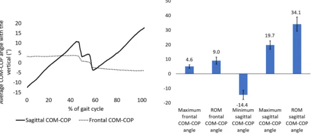 Fig. 4. Sagittal and frontal COM-COP angles calculated in 115 asymptomatic subjects.
