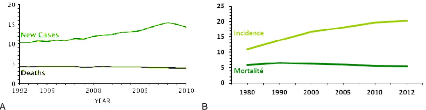 Figure 2 - Répartition dans le temps de l'incidence et de la mortalité  lié au cancer du rein  A-  Etats-Uni s, B- France  