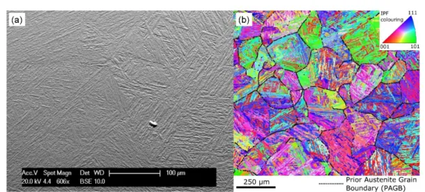 Fig. 1. (a) Backscattered electron image and (b) an EBSD orientation map of the as received FV566 material
