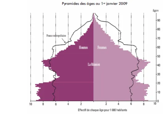 Figure 5 : Pyramide des âges de la population réunionnaise en 2009