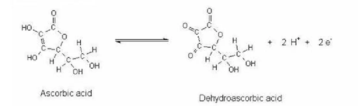 Figure 9 : Equation entre l'Acide Ascorbique et Déshydrascorbique