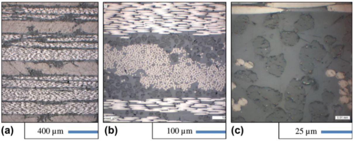 Fig. 1. Optical micrographs (a–c) of a 6 mm thick T800/M21 sample. (For interpretation of the references to color in this ﬁgure legend, the reader is referred to the web version of this article).