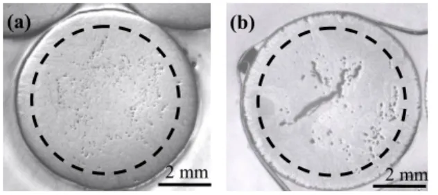 Figure 4. Micrographies de coupes transversales du jonc composite avant (a) et  après 118 jours de vieillissement dans l’air à 200 °C (b)