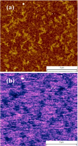 Figure 2 (a) AFM topology (contrast of height in range of   10 nm) and (b) KPFM map (contrast of surface potential in range  of 30 mV) of  the surface of low density a-SiC:H films after  oxi-dation at 550  o C