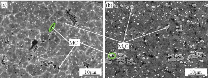 Fig. 2. SEM micrographs of as-received M2 steel on (a) transversal and (b) longitudinal directions