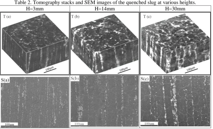 Table 2. Tomography stacks and SEM images of the quenched slug at various heights. 
