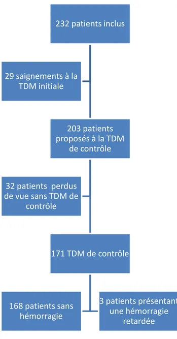 Figure 2: Flow chart de l'étude. TDM = tomodensitométrie 