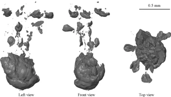 Fig. 7. Three side-views of the projectile from shot #38_01 (R3). Data obtained by high-resolution (1.6 m m/px) post-mortem tomography at the European Synchrotron Research Facility (Grenoble, France)