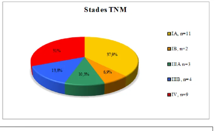 Figure 10 : Répartition des patients selon leur stade TNM, n=29. 
