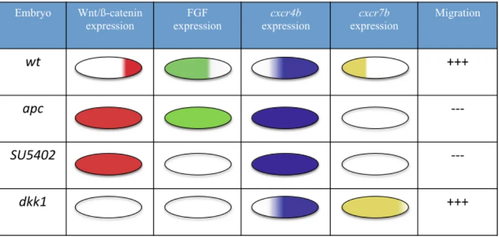 Fig. 3 Summary of molecule and chemokine patterns and the associated migration behaviour for the four mutants tested in Aman and Piotrowski (2008) (Sect