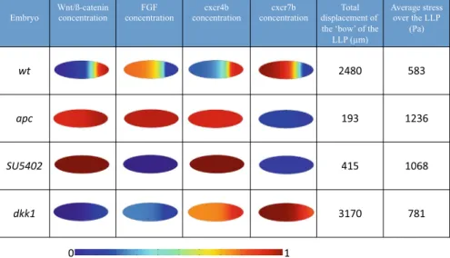 Fig. 4 Numerical results for the four mutants at the end of the simulations (t = 1 day) (Sect