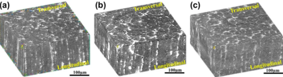 Fig. 12. 3-D stacks of M2 taken from diﬀerent zones showing various microstructures. (a) 100% solid state